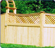 Cedar Fence