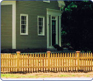 Cedar Fence