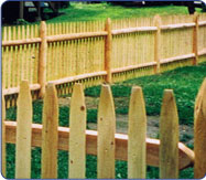 Cedar Fence