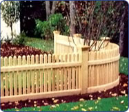 Cedar Fence