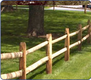 Cedar Fence