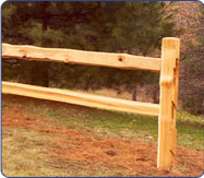 Cedar Fence