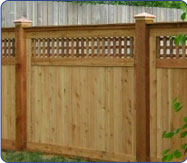 Privacy Fence